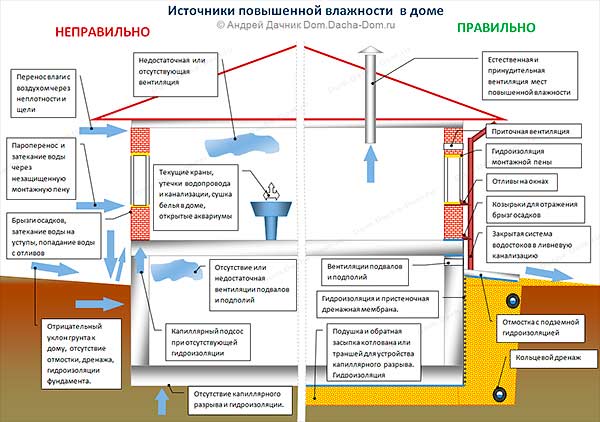 Сырость в квартире: причины, способы устранения, избавление от запаха