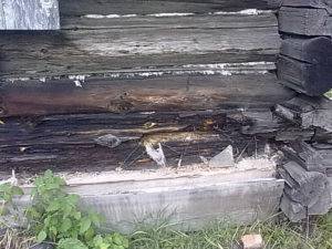 Формирование теплых швов при утеплении деревянного дома