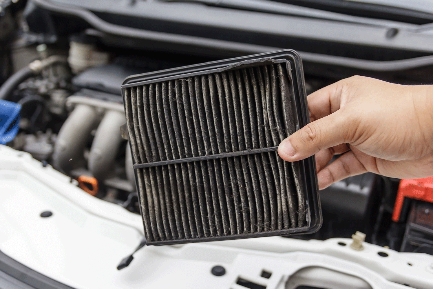 Когда менять фильтр в автомобиле: масляный, воздушный, топливный и салонный фильтр