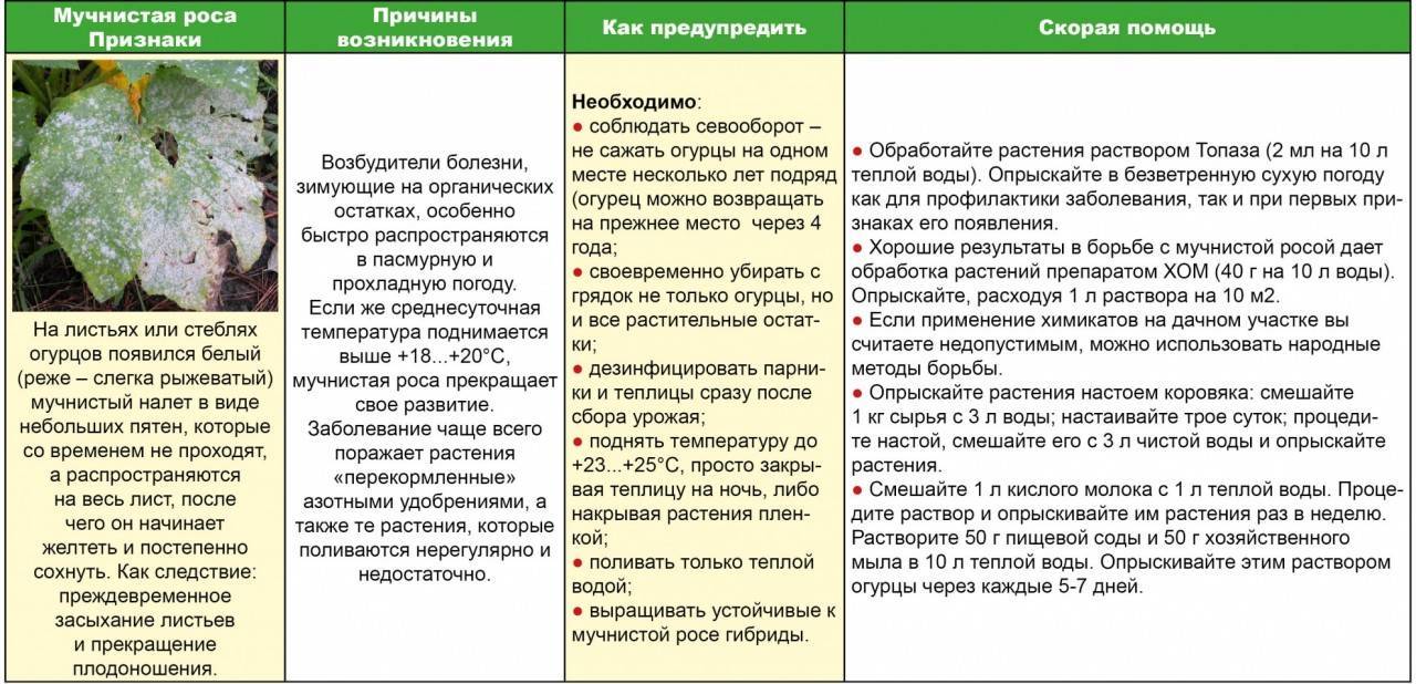 Как правильно очистить воду в колодце