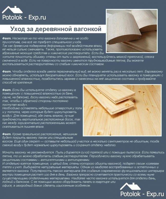 Отделка парилки вагонкой: секреты качественного монтажа | beaver-news.ru