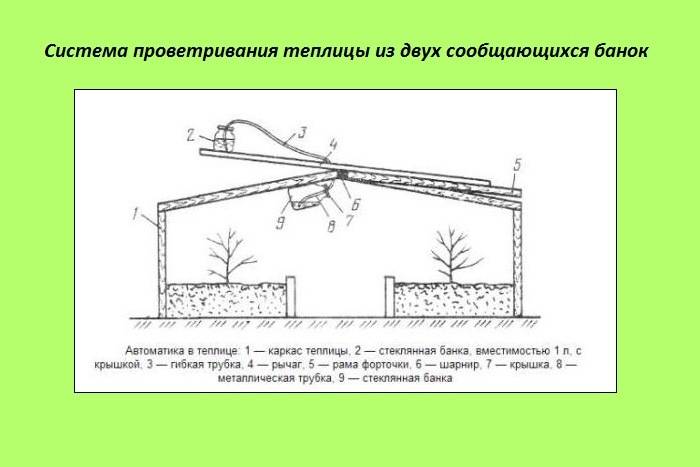 Вентиляция теплицы своими руками: разнообразие, варианты систем, инструкции по конструкции