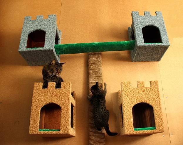Домик для кошки своими руками: чертежи с размерами и пошаговая инструкция