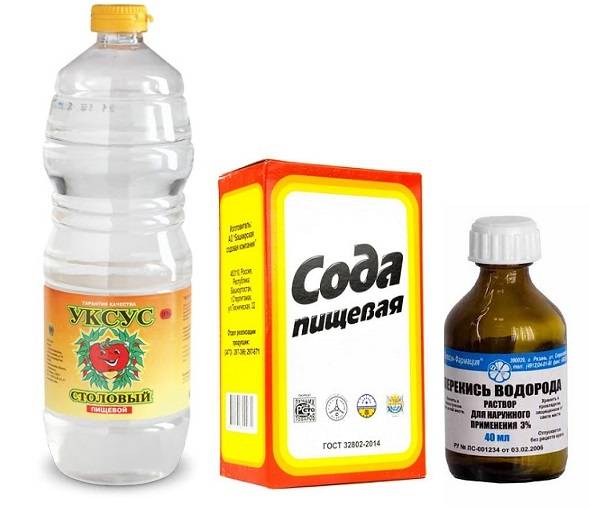 Чем и как вывести запах кошачьей мочи: самые эффективные средства
