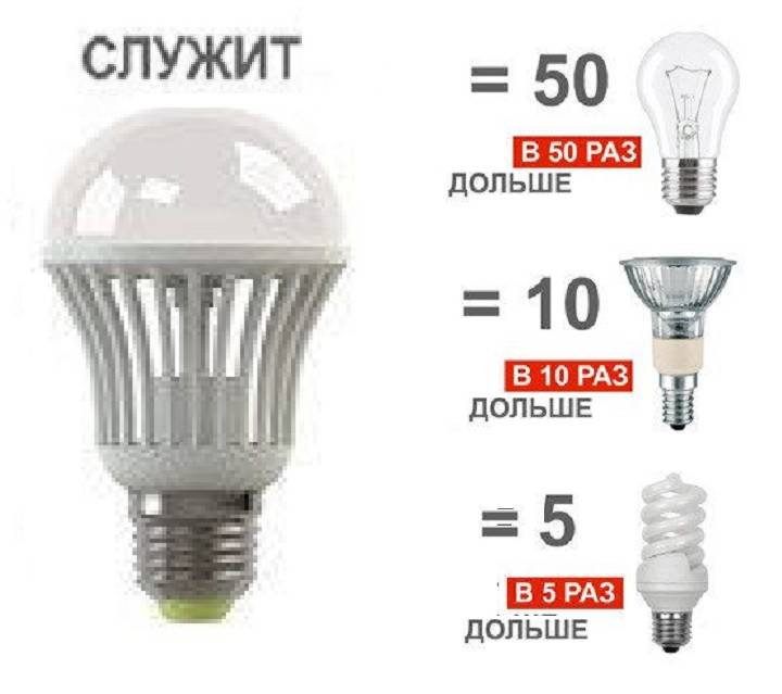 Светодиодные лампы для дома: как выбрать, обзор ламп