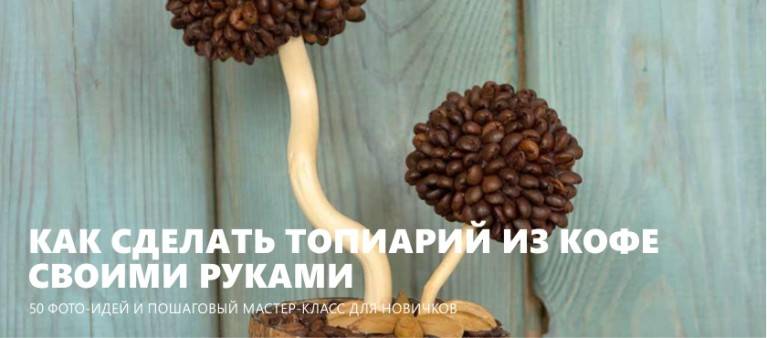 Топиарий из кофе (37 фото): деревья из кофейных зерен и цветов своими руками, другие варианты, пошаговый мастер-класс