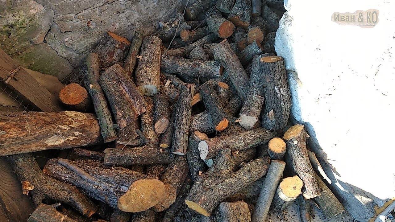 Какие дрова лучше для печки: виды, сравнительный обзор
