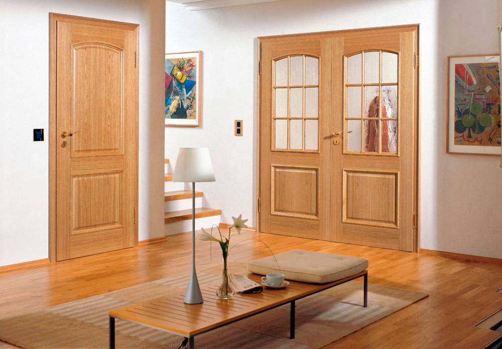 Типы и виды входных и межкомнатных дверей: конструкции
