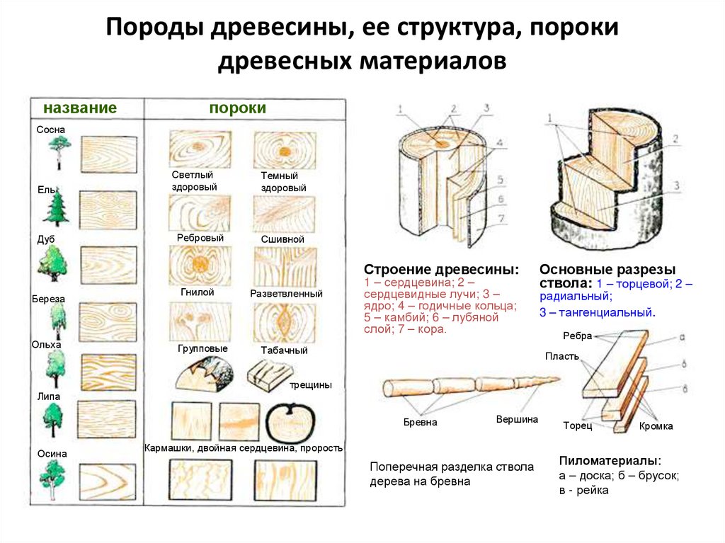Как выбрать древесину для постройки дома - обзор пород древесины, рекомендации