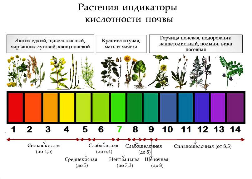 Грунтозацепы для мотоблока: как сделать своими руками, необходимые материалы и инструменты