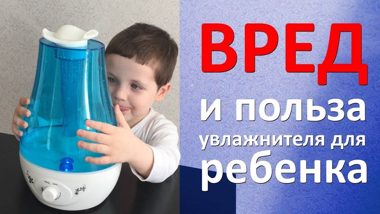 Чем полезен увлажнитель воздуха для квартиры и дома