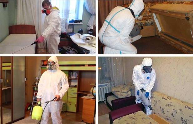Дезинфекция и дезинсекция в квартире самостоятельно