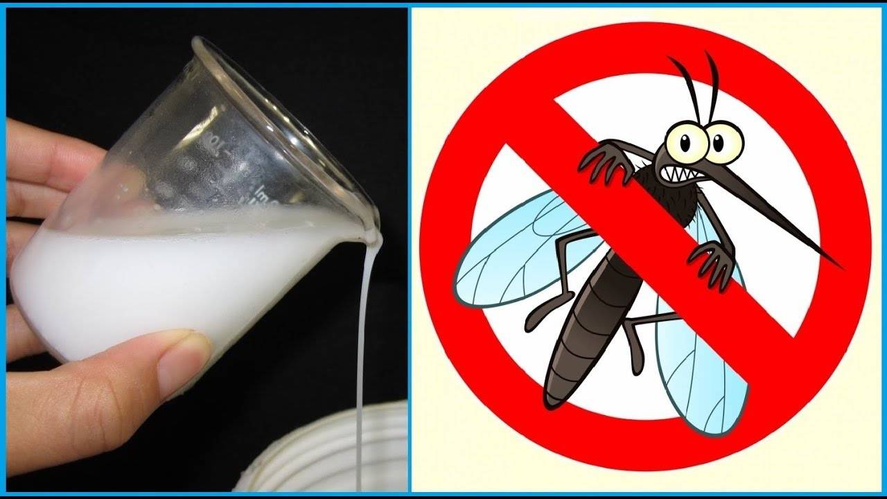 Как выбрать качественный репеллент против комаров и мошек