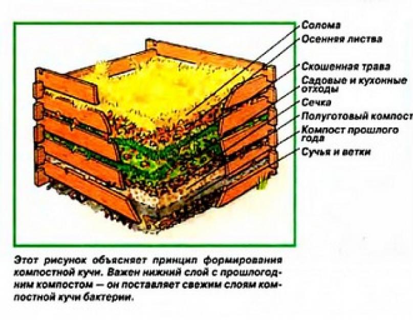 Компостный ящик своими руками: варианты изготовления, чертежи, фото
