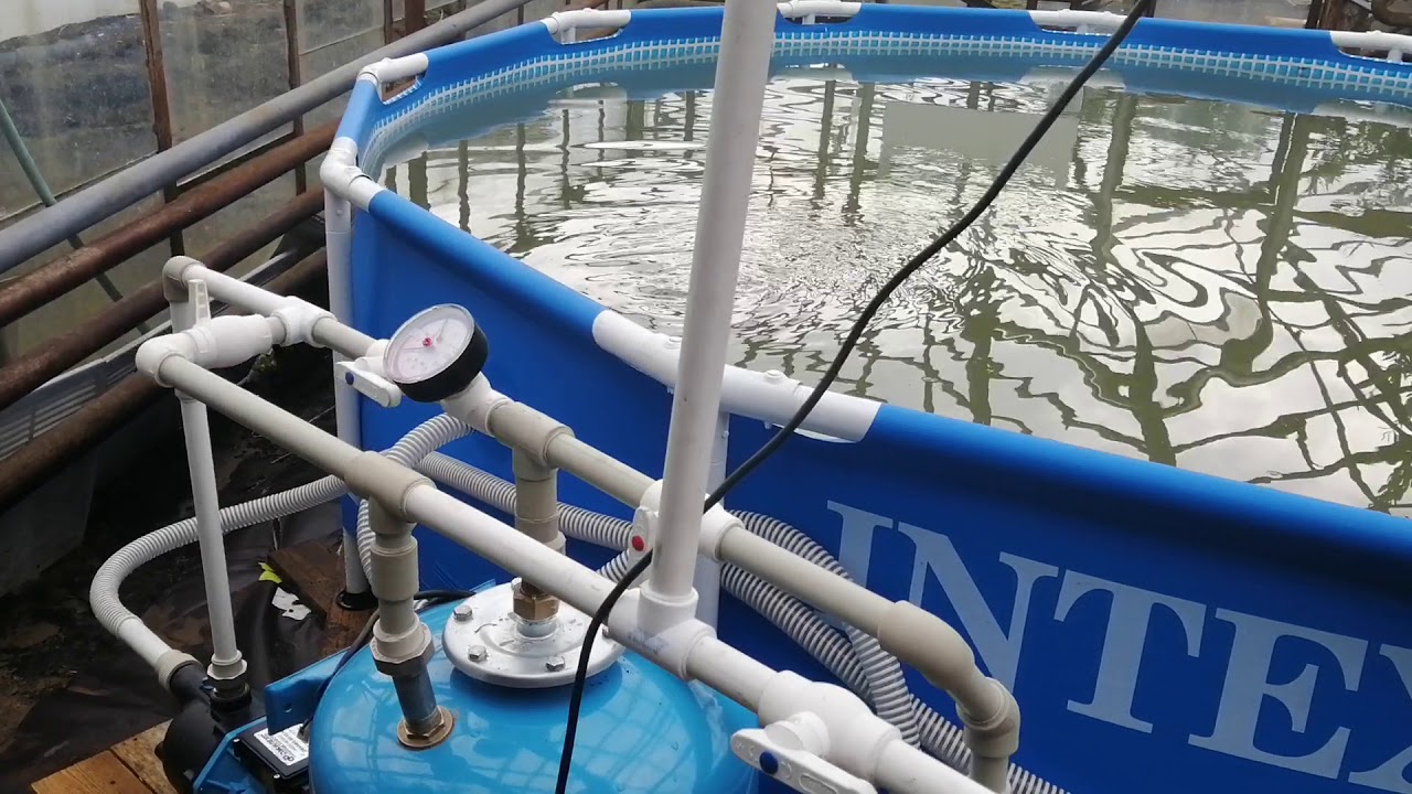 Песочный фильтр для бассейна своими руками: разновидности