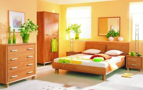 Цветы для спальни по фен шуй тенелюбивые и неприхотливые, какие комнатные растения можно ставить держать над кроватью в интерьере