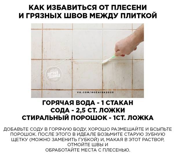 Как быстро и эффективно избавиться от плесени в ванной, чтоб она не вернулась