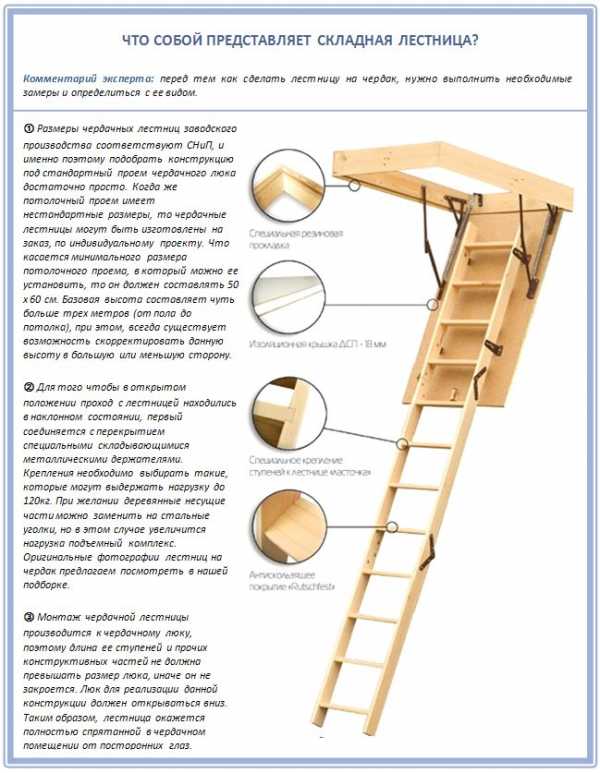 Чердачная лестница с люком своими руками: чертежи и пошаговые мастер-классы с инструкциями