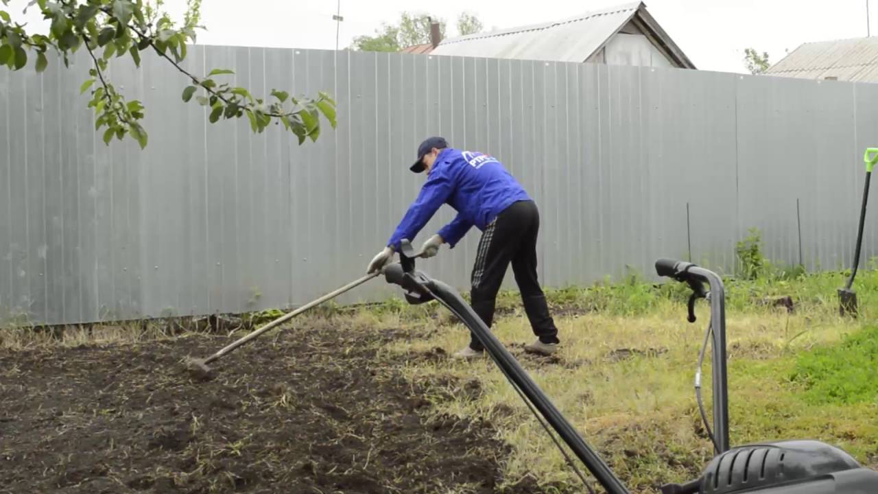 Как сделать газон на даче своими руками? - моя дача - информационный сайт для дачников, садоводов и огородников