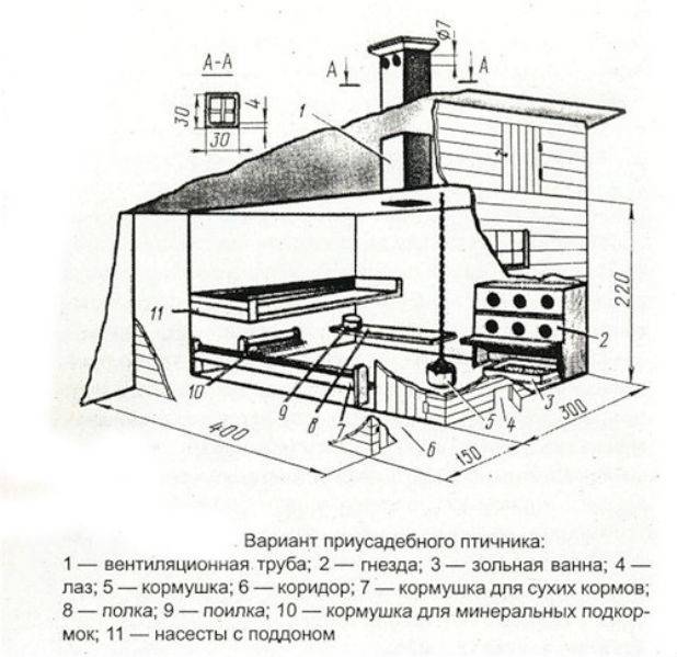 Мини-курятник: проекты, постройка и обустройство