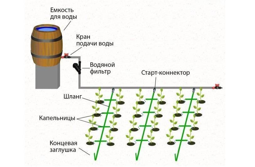 [инструкция] как организовать капельный полив