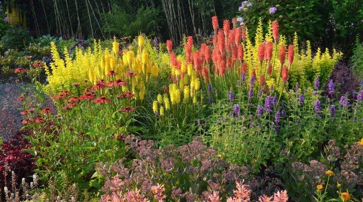Ландшафтное проектирование: растения для осенних цветников