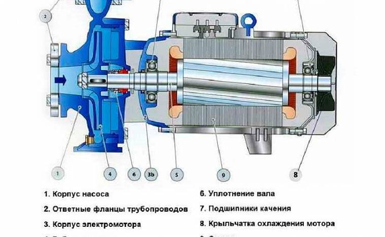 Манометр для измерения давления воды в системе водоснабжения: что это за устройство, виды (электронные и др.), цена