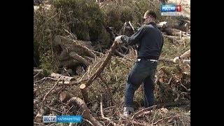 Как построить любой вид шалаша своими руками