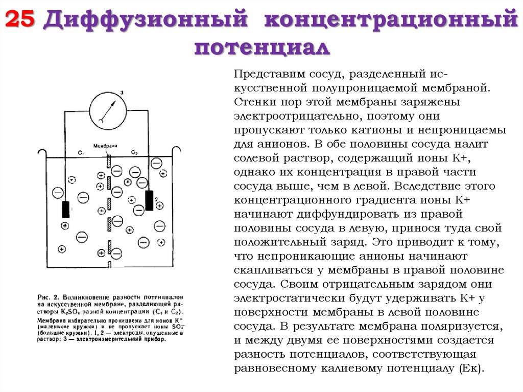 Диффузная мембрана особенность выбора и монтажа — sibear.ru