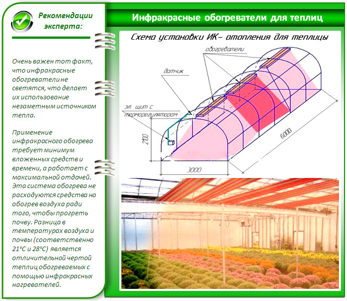 Овощи будут расти даже в январе! варианты отопления теплиц из поликарбоната зимой