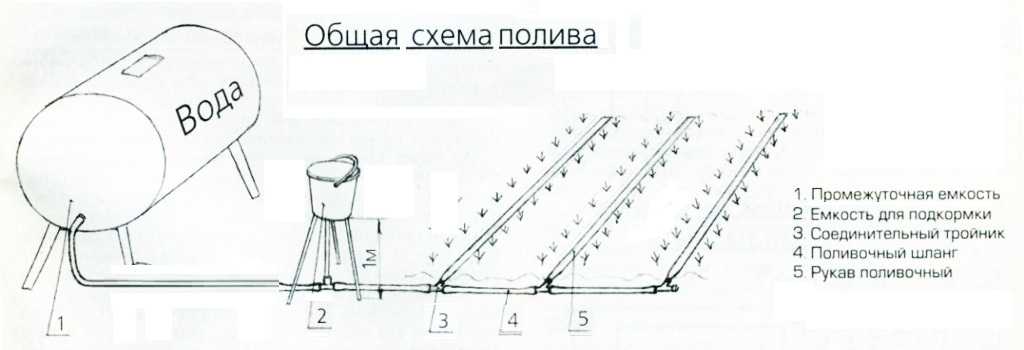 Капельный полив своими руками для дачи без затрат: сделай сам