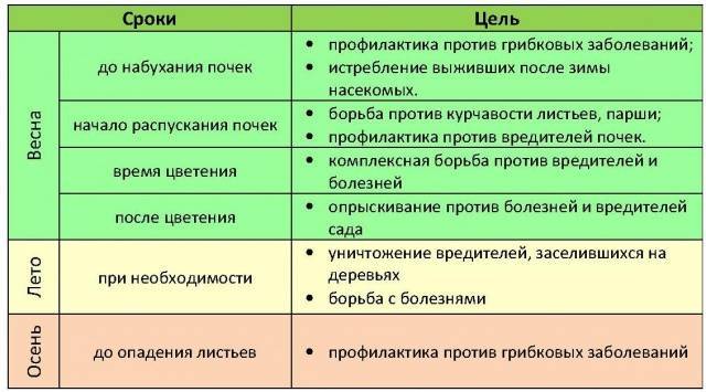 Опрыскивание сада весной от вредителей и болезней