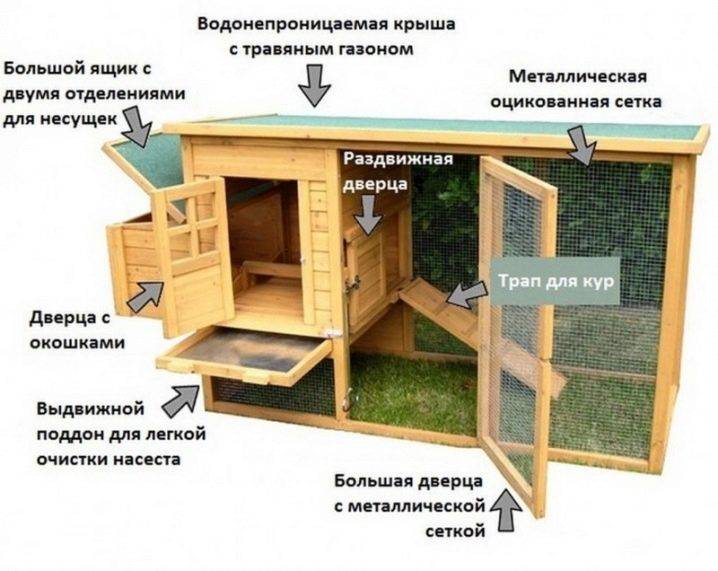 Зимний вариант курятника на 10 кур своими руками