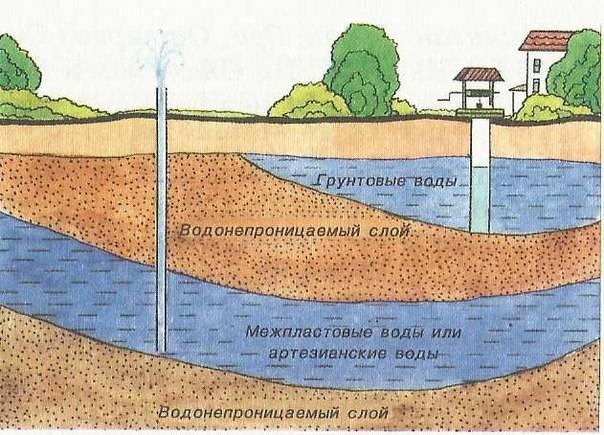 Как найти воду для колодца на участке - поиск места самостоятельно