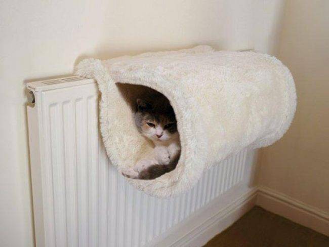 Лежанка для кошки своими руками: 11 простых идей