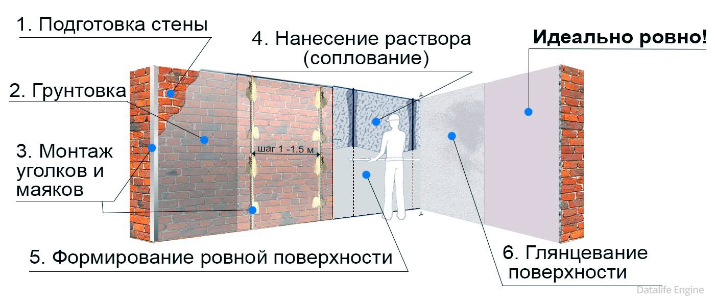 Лучшие средства против грибка и плесени на стенах