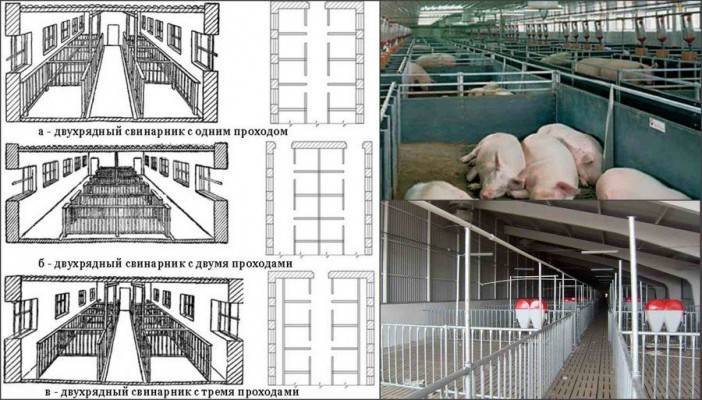 Свинарник своими руками: сооружение и схема строительства своими руками (80 фото)