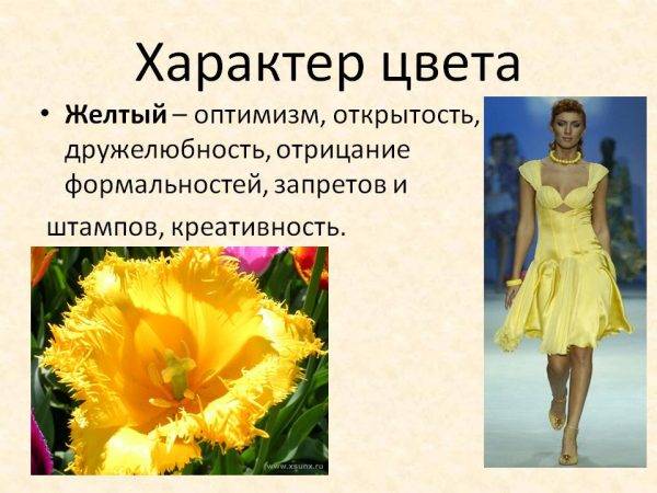 Как определить характер по любимому цвету человека?