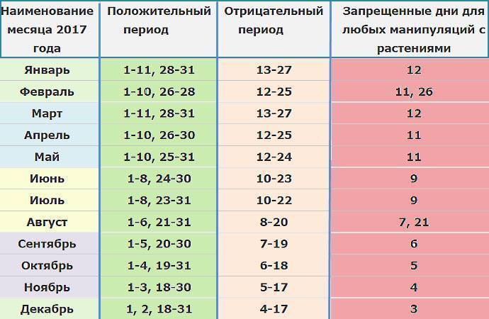 Когда и как лучше пересаживать комнатные цветы и растения