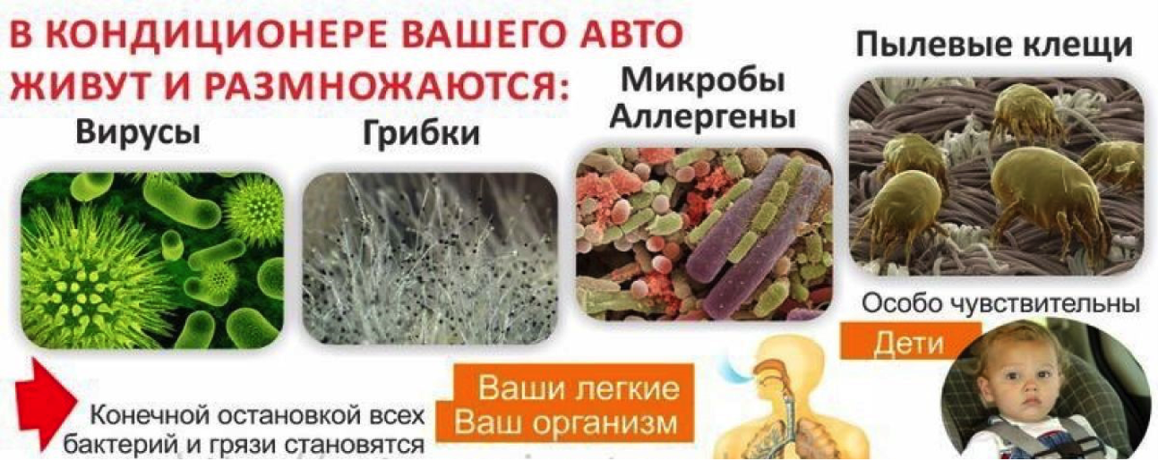 Бактерии в домашних кондиционерах