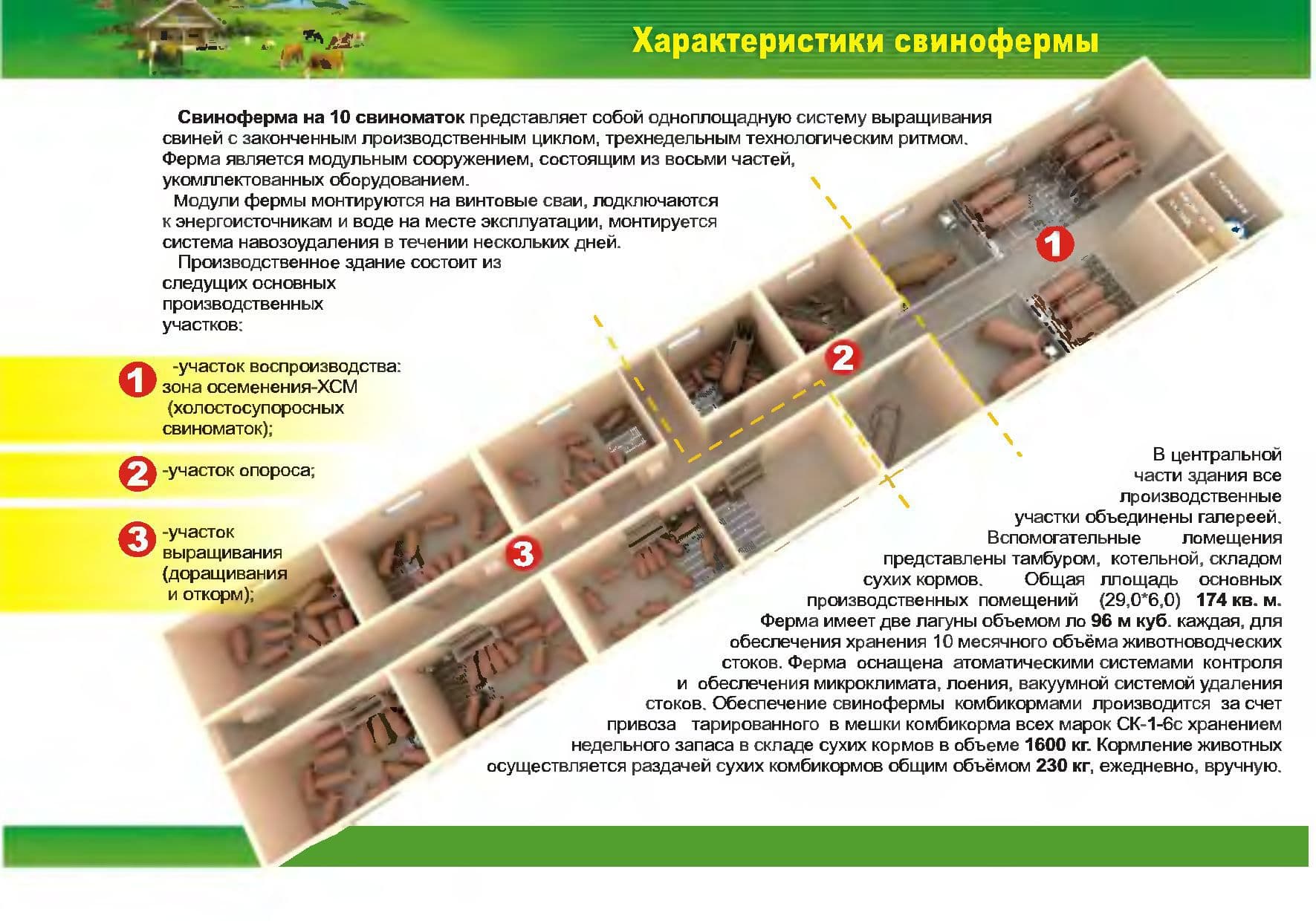 Свинарник своими руками: готовые чертежи, поэтапное руководство, полезные советы