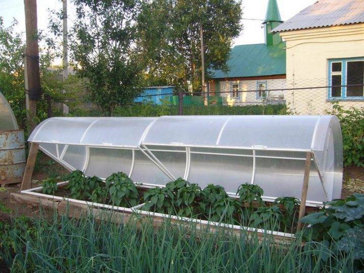 Парник бабочка 4м с поликарбонатом: фото, как собрать своими руками, чертежи, размеры, отзывы (отличный или ужасный)