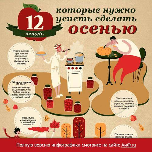 Что важно успеть сделать на участке до наступления стабильных морозов