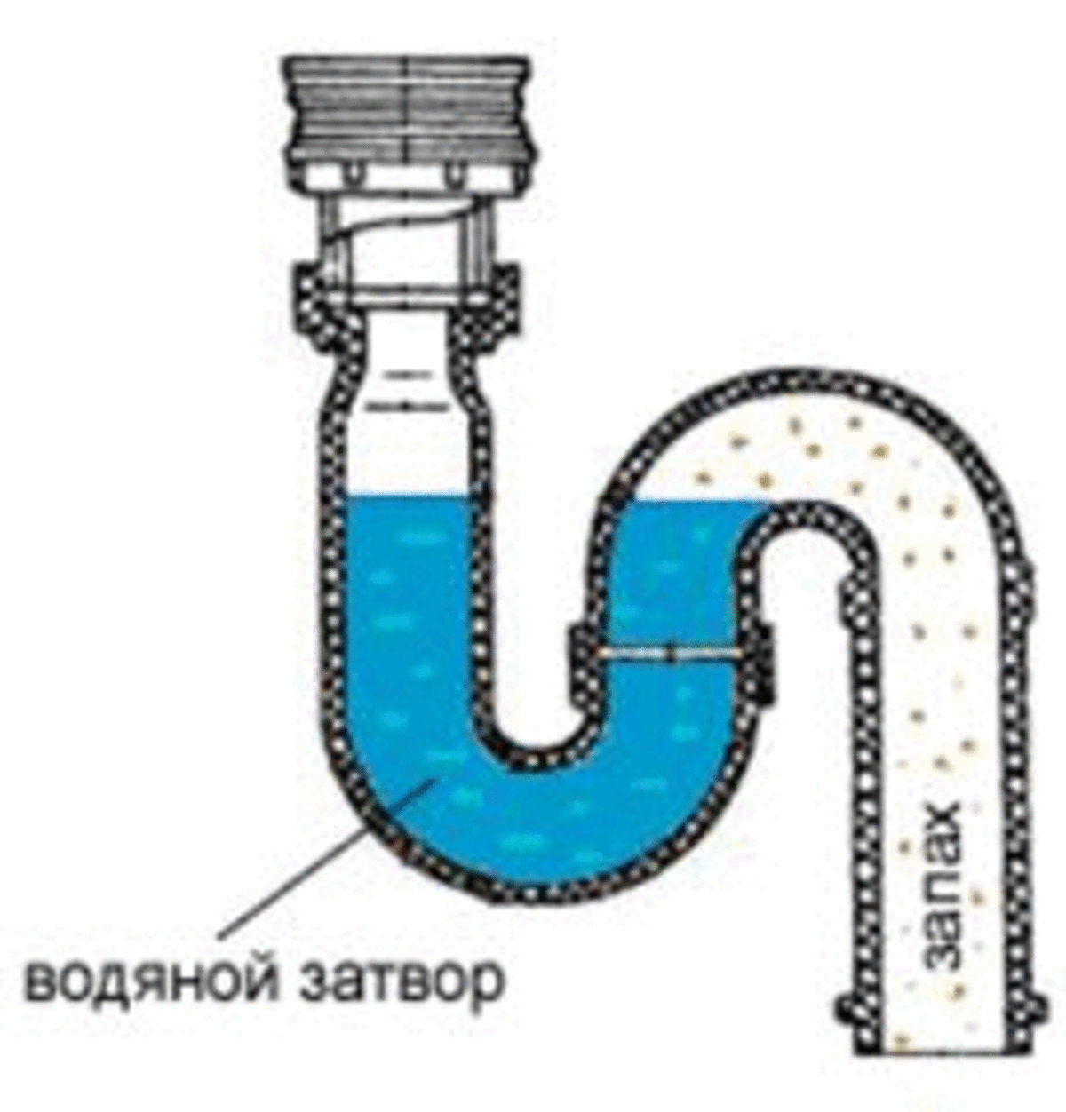 Гидрозатворы для канализации и особенности их работы