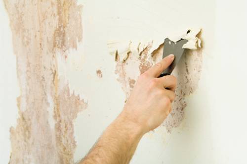 Нужно ли грунтовать стены перед покраской водоэмульсионной краской и как это сделать?  | в мире краски