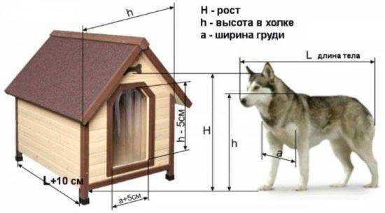 Будка для собаки своими руками - 95 фото, чертежей и эскизов будок