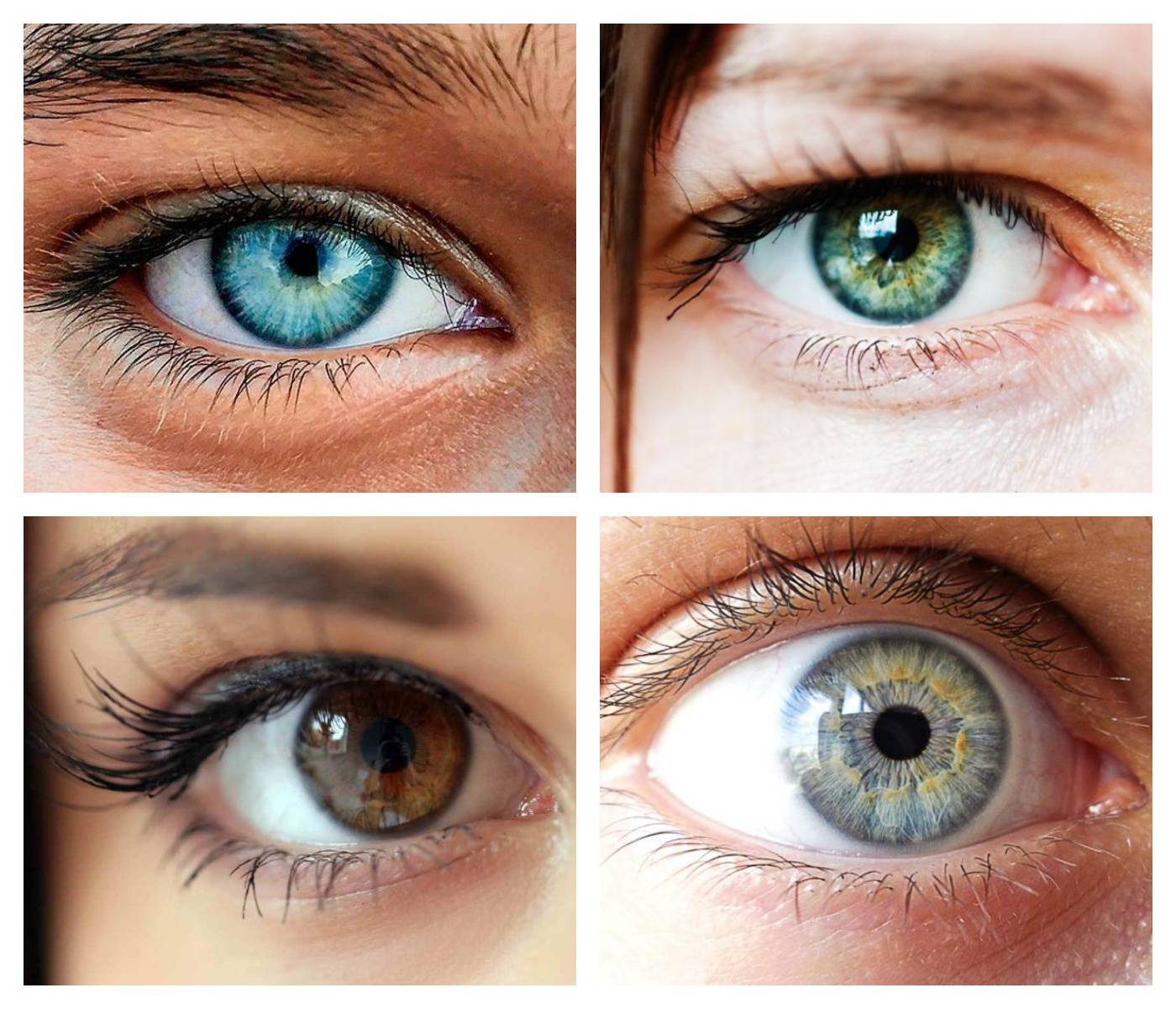 Какие бывают цветом глаза у человека фото