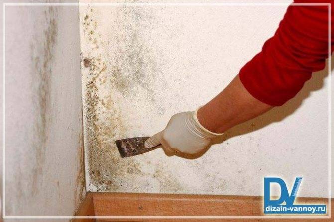 Грибок в ванной комнате - избавление народными способами и практические инструкции по руководству (60 фото)
