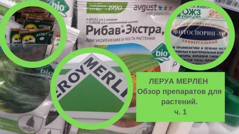 Леруа мерлен: товары для благоустройства садового участка