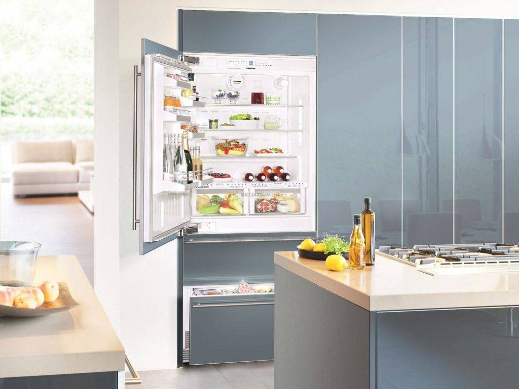Лучшие встраиваемые холодильники: 7 моделей для любых целей